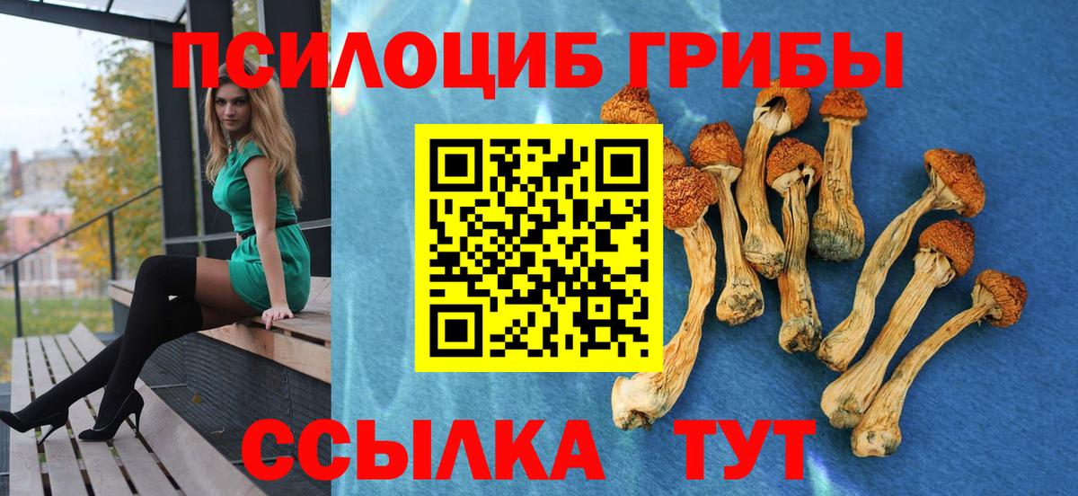 Галлюциногенные грибы Magic Shrooms Гуково
